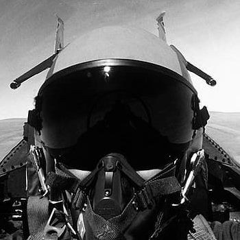 young man wearing shades and a hat with a beard, tattos and ear piercings